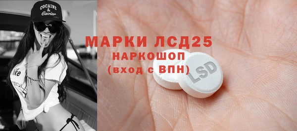 сатива Баксан