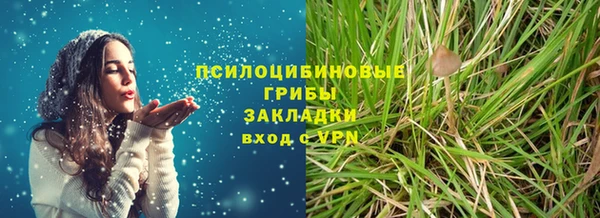 сатива Баксан